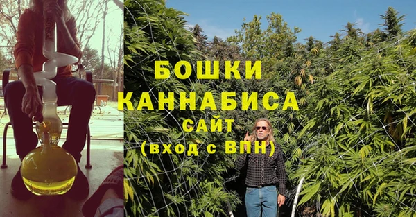 СК Михайловск