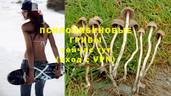 тгк Михайловка