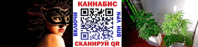 Купить где  Мглин  МАРИХУАНА ГИДРОПОН 